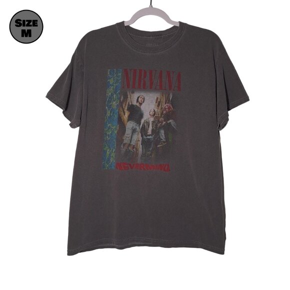 Nirvana Nevermind Band Photo USED Shirt (DISTRESSED, M, Gray, Grunge) - Picture 1 of 8